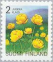 Globe Flower (Trollius europaeus)