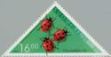 Seven-Spot Ladybird (Coccinella septempunctata)