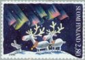 Christmas, Reindeer and hare watching Northern Lights