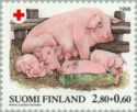 Domestic Pig / Sow (Sus scrofa domestica) with Piglets