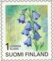 Harebell (Campanula rotundifolia)