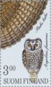 Boreal Owl (Aegolius funereus)