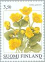Kingcup (Caltha palustris)