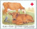 Domestic Cattle (Bos primigenius taurus) - Female and Calf