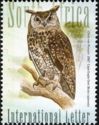 Cape Eagle-owl (Bubo capensis)