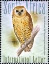 Pel's Fishing Owl (Scotopelia peli) 