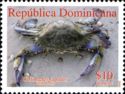 Blue Crab (Callinectes sapidus)