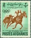 Horse Racing, Hore (Equus ferus caballus)
