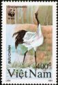 Red-crowned Crane (Grus japonensis)