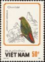 Vernal Hanging Parrot (Loriculus vernalis)
