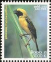Asian Golden Weaver (Ploceus hypoxanthus)