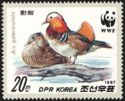 Mandarin Duck (Aix galericulata)