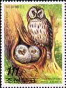 Ural Owl (Strix uralensis)