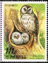 Ural Owl (Strix uralensis)