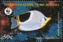 Saddle Butterflyfish (Chaetodon ephippium)