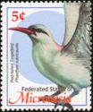 Red-tailed Tropicbird (Phaethon rubricauda)