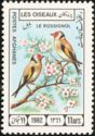 European Goldfinch (Carduelis carduelis)