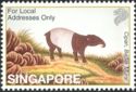 Malayan tapir (Acrocodia indicus)