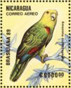 Yellow-headed Parrot (Amazona ochrocephalus)