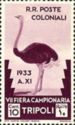 Ostrich (Struthio camelus)