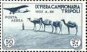 Caravan of dromedaries