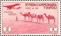 Caravan of dromedaries