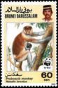 Proboscis Monkey (Nasalis larvatus) 