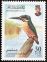 Common Kingfisher (Alcedo atthis)