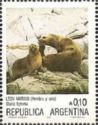 South American Sea Lion (Otaria byronia) 