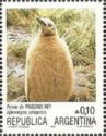 King Penguin (Aptenodytes patagonica)