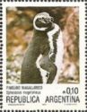 Magellanic Penguin (Spheniscus magellanicus) 