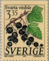 Blackcurrant [Grosellas] - Ribes nigrum