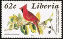 Northern Cardinal (Cardinalis cardinalis)