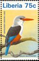 Grey-headed Kingfisher (Halcyon leucocephala)