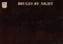 BRUGES BY NIGHT