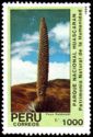 Huascaran National Park - Puya Raimondi
