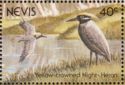 Yellow-crowned Night Heron (Nyctanassa violacea)