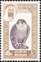 Barbary Falcon (Falco peregrinus pelegrinoides)