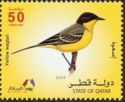 Western Yellow Wagtail (Motacilla flava)