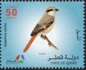 Isabelline Shrike (Lanius isabellinus)