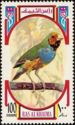 Gouldian Finch (Chloebia gouldiae)