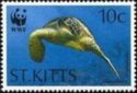 Green Turtle (Chelonia mydas) swimming