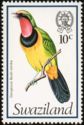 Four-colored Bushshrike (Telophorus viridis)