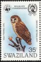 Pel's Fishing-owl (Scotopelia peli)