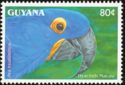 Hyacinth Macaw (Anodorhynchus huakinthos) (see Description)