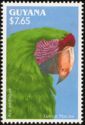 Great Green Macaw (Ara ambigua) 