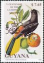 Crested Oropendola (Ostinops decumanus)