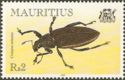 Weevil (Cratopus armatus)