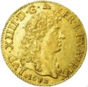 1 Louis d'or (Louis XIV - D - Lyon)