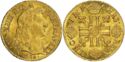 1 Louis d'or (Louis XIV - D - Lyon)